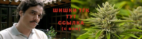 мяу мяу мука Вяземский