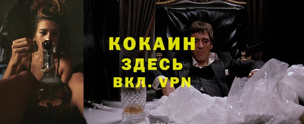 мяу мяу мука Вяземский